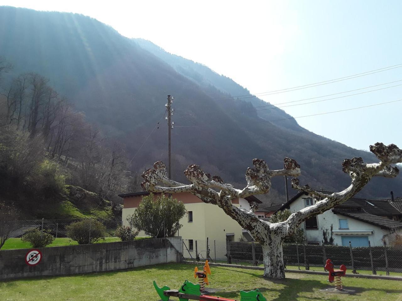 Holidays Homes Il Folletto Quartino ภายนอก รูปภาพ
